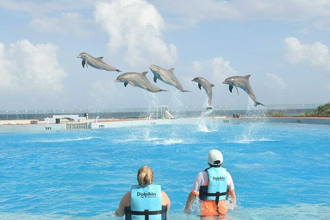 Tulum & Dolphin Connection from Cancun - Getting from Cancun to the Mayan sites (without the headache)