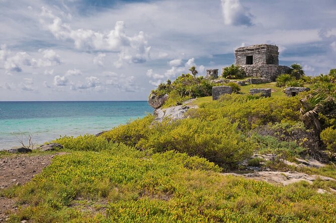 Tulum & Dolphin Connection from Cancun - Dolphin Discovery in Akumal: sensory interaction, gear, and limits