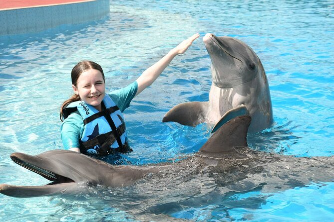 Tulum & Dolphin Connection from Cancun - Who should book this Tulum + dolphin combo (and who shouldn’t)