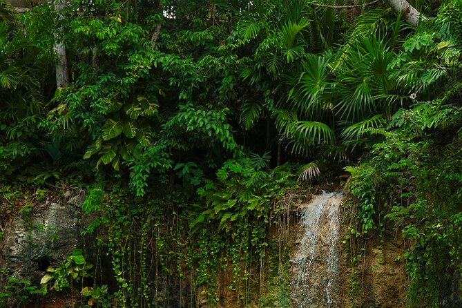 Tulum Essence Art and Photography Tour - The Comfort Details: Air-Conditioned Van, Snacks, Mobile Ticket