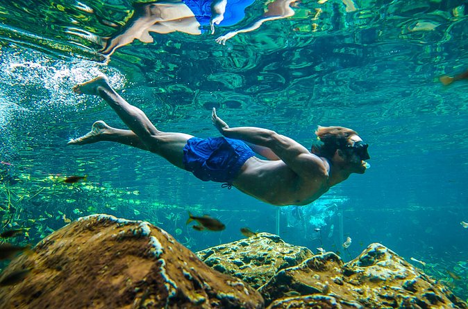 Tulum Ruinas and Tortugas Express - Group size and English guide: how that changes the vibe