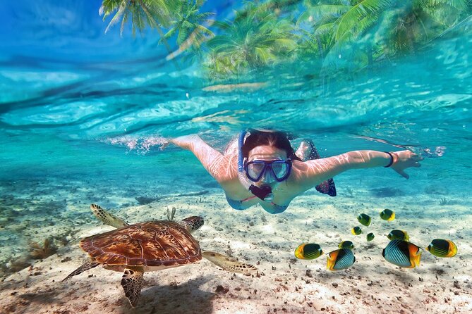 Tulum Ruins and Turtles Express - Key Highlights You’ll Actually Notice