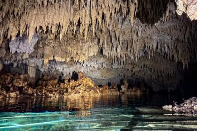 Tulum Ruins, Sea Turtles & Cenote Swim Adventure Tour - Akumal Beach Sea Turtle Swim: What One Hour in the Water Feels Like