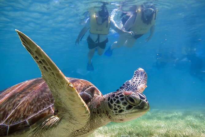 Tulum Ruins, Turtle Sighting and Underground Caves - Key Highlights Worth Your Time