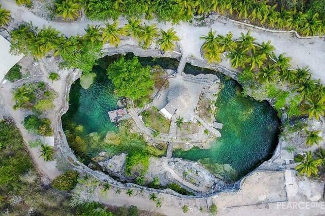 Tulum Ruins visit cenotes house turtle and Sculpture Come to Light - Lunch Break Inside the Mayan Zone: Regional Food, No Drinks Included