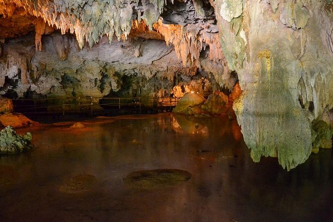 Turtles and Cenote from Riviera Maya - The photographer add-on: nice if you want it, easy to skip