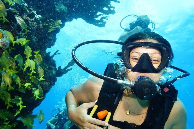 Two Dives and Class for Begginers Divers in Cancun - Key things that make this experience work