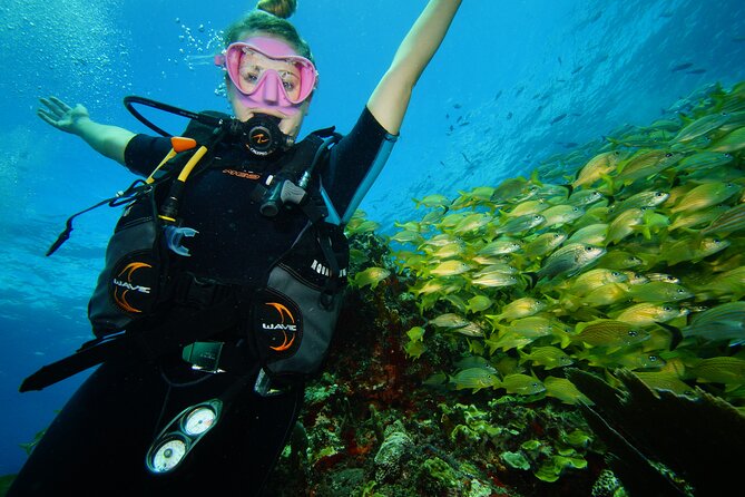 Two Reefs For Certified Divers in Cancun - Key things to know before you go
