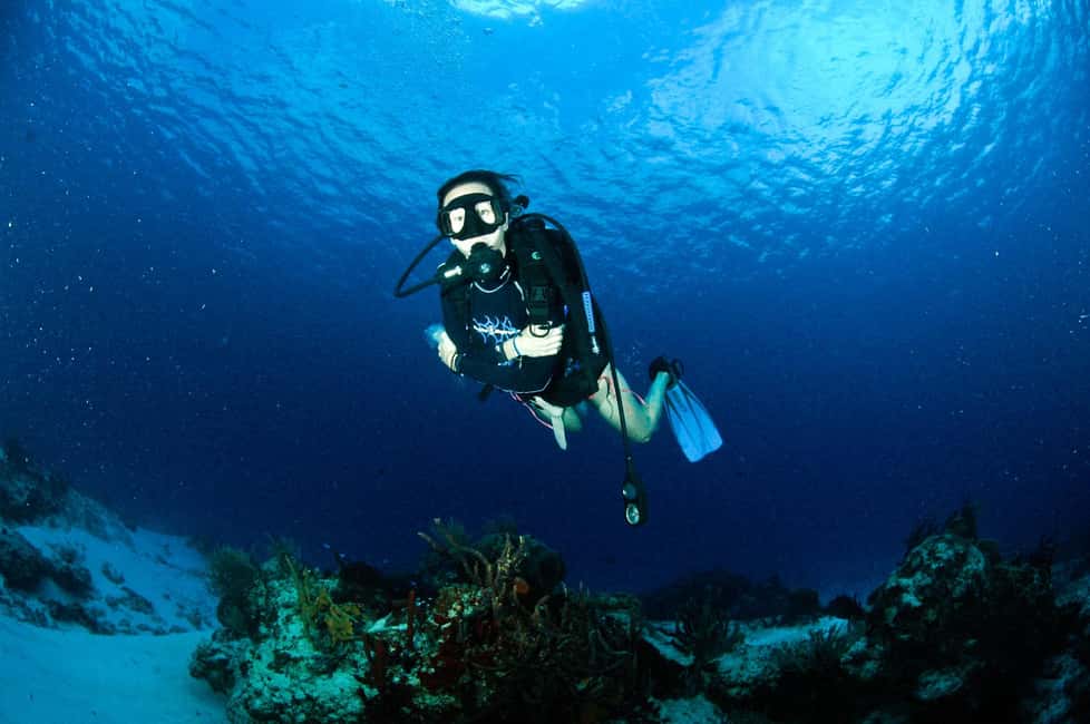 Underwater Museum Musa : SCUBA DIVING FOR BEGINNERS - Key highlights to pay attention to