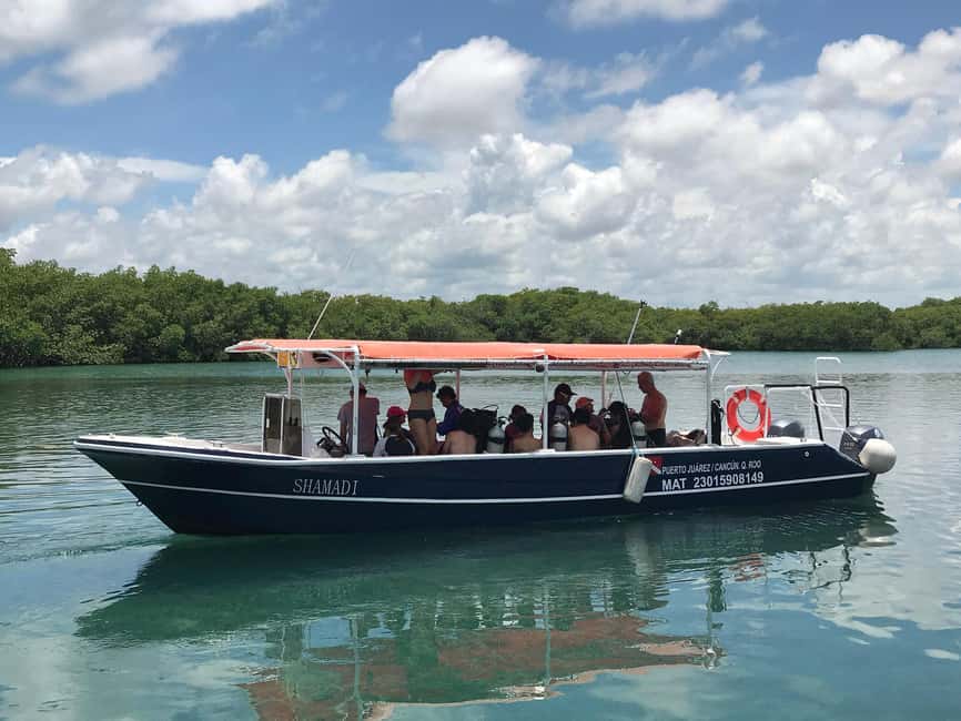 Underwater Museum Musa : SCUBA DIVING FOR BEGINNERS - Who should book this beginner scuba session?