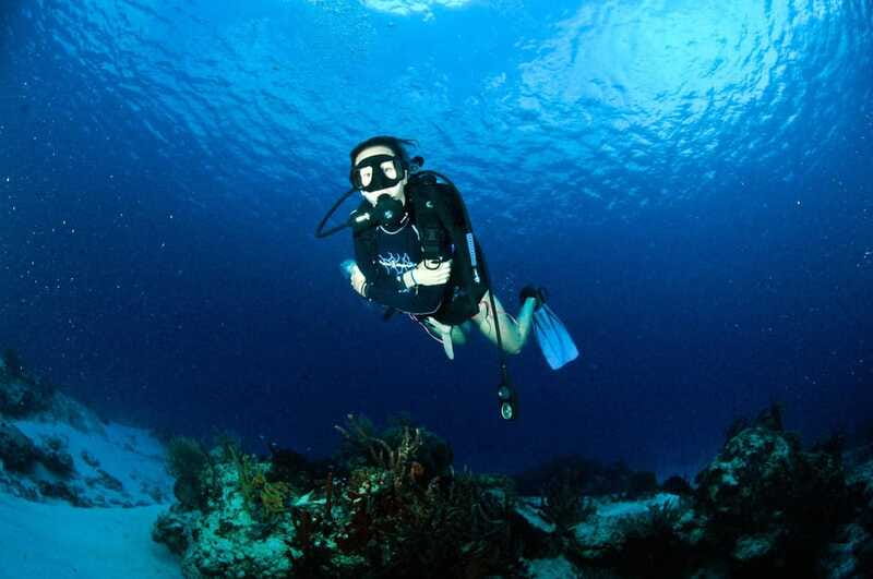 Underwater Museum Musa : SCUBA DIVING FOR BEGINNERS - Hotel pickup and a short boat ride: less time commuting