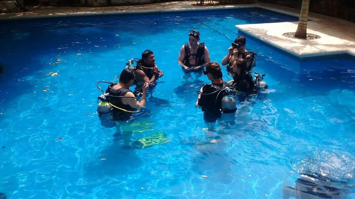 Underwater Museum Musa : SCUBA DIVING FOR BEGINNERS - Site 2: reef options near Cancun and Isla Mujeres