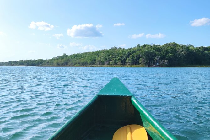 Unforgettable Journey: Coba, Monkey Reserve, and Mayan Cenote - Private transportation and an 8:00 am start that actually helps