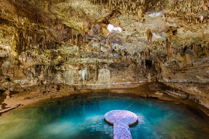 Visit Chichen Itza & the Magical Cenotes Ik Kil & Suytun - Suytun Cenote: Circular Jungle Beauty and the Light-Through-Opening Effect