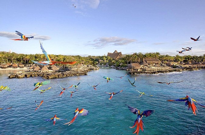 Xcaret Park Day Tour & Night Show with Transportation - Snorkeling Gear Included: What This Means for Your Packing Plan