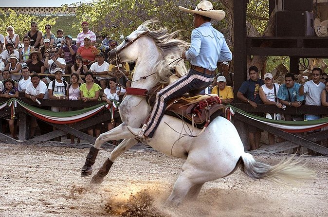 Xcaret Park Day Tour & Night Show with Transportation - Plus Option Buffet and the Night Espectacular Show: Why the Evening Matters