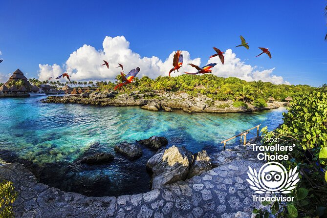 Xcaret Park Day Trip, transportation and Cultural Night Show - Price and photos: where the money habits show up