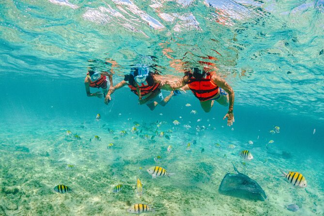 Xcaret Park Entry Tickets with Cultural Night Show Included - Who this Xcaret experience fits best