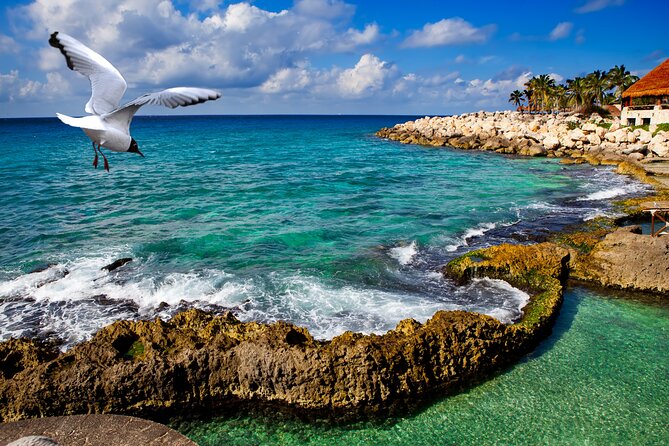 Xcaret Park Plus Tour! Nature, Culture and Nightshow from Cancun - The Culture Moment: Xcaret México Espectacular Nightshow