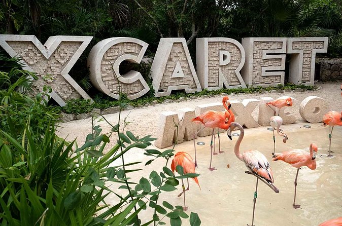 Xcaret Plus Full Day Tour - Lunch with beer included, plus coffee and aguas frescas