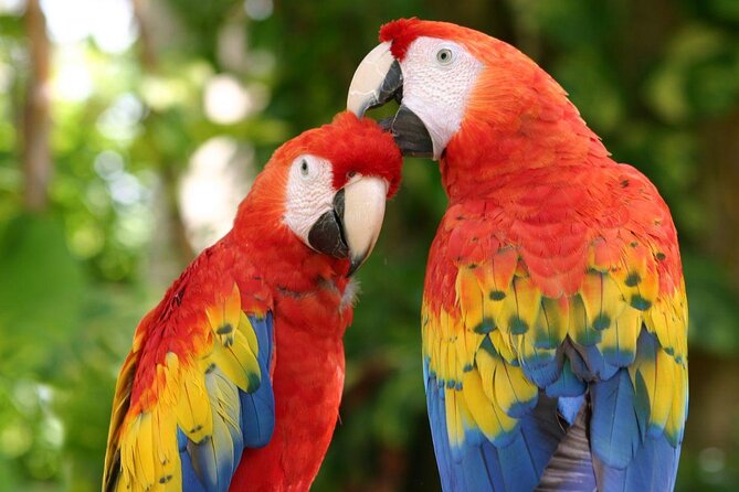 Xcaret Plus Full-Day Tour from Cancun with Transport - Key Highlights That Matter Before You Go