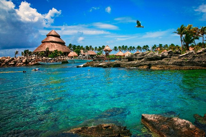 Xcaret Plus Full-Day Tour from Cancun with Transport - What Xcaret Plus Really Includes (and What It Doesn’t)