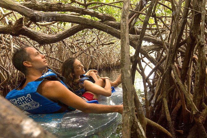 Xel-Ha Natural Park Tour - How to decide: should you book this Xel-Há tour?