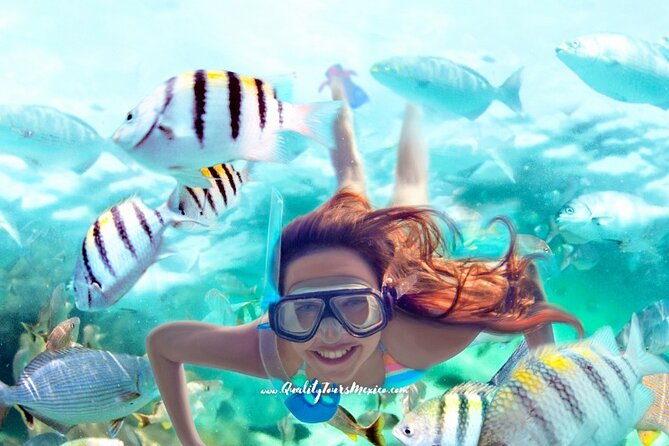 Xelha water park with transportation - Value check: is $165 actually fair?