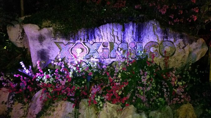 Xoximilco Tour Mexican Party Night! From Cancun & Playa Del Carmen - Key Points Before You Go