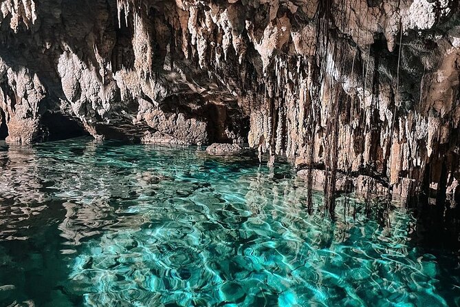 Zapote Cenotes Adventure Tour Prehistoric Park - Stop 2: Abuelo Cheche (Grandfather) Cenote—cavern-type views and geology time